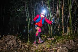 BIB: 
                            <button type="button" onclick="openModal(6945639)" class="btn btn-primary btn-sm float-right btn-popup" data-toggle="modal" data-target=".modal-high-quality">
                        <i class="fas fa-shopping-cart"></i> Add to Cart
                    </button>
                                            <button type="button" onclick="isThisMe(6945639, true)" class="btn btn-success btn-sm float-right btn-popup btn-isme hidden" data-toggle="tooltip" data-placement="bottom" title="นี่คือรูปของคุณใช่ไหม คลิกที่นี่เพื่อเอาเข้าอัลบั้ม">
                        <i class="fas fa-plus"></i> Add to album
                    </button>
                    <button type="button" onclick="isThisMe(6945639, false)" class="btn btn-warning btn-sm float-right btn-popup btn-isnotme hidden">
                        <i class="fas fa-ban"></i> Remove from album
                    </button>